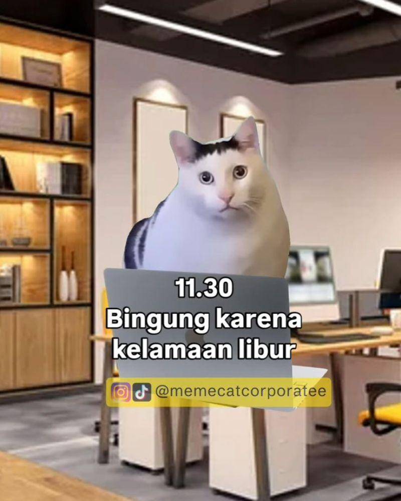 Tiktok.com/Meme Cat Corpoorate